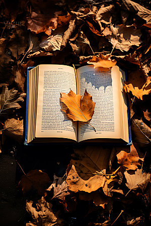 秋季读书秋日自然摄影图
