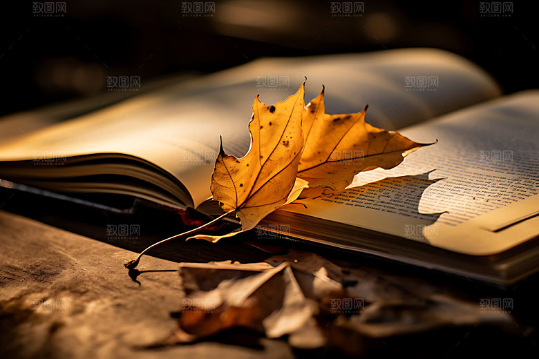 秋天书籍高清秋季摄影图