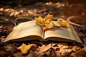 秋天书籍氛围自然摄影图