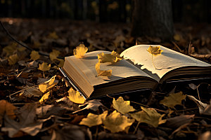 秋天书籍自然氛围摄影图