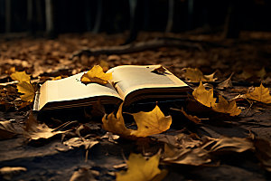 秋天书籍氛围秋色摄影图
