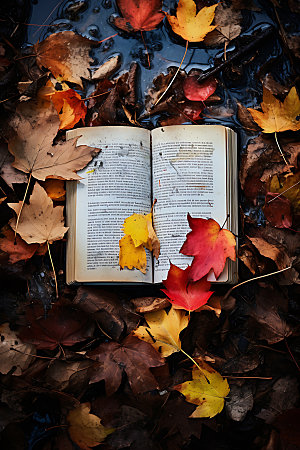 秋季读书学习自然摄影图