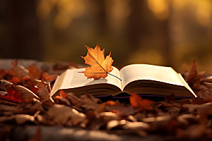 秋天书籍读书氛围摄影图
