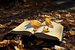 秋季读书秋天学习摄影图