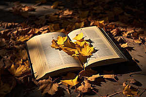 秋季读书学习自然摄影图