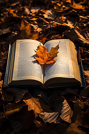 秋季读书阅读自然摄影图