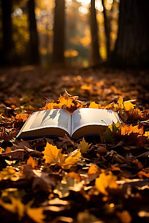 秋季读书阅读秋天摄影图