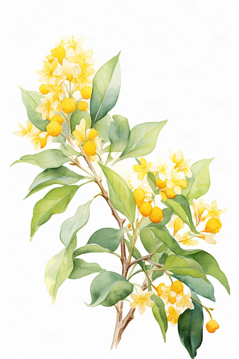 秋季风景花卉类手绘插画矢量素材