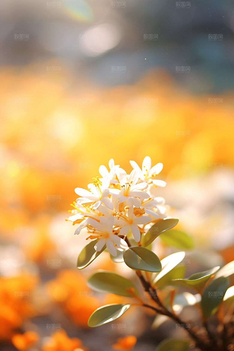 秋季风景清新桂花矢量元素