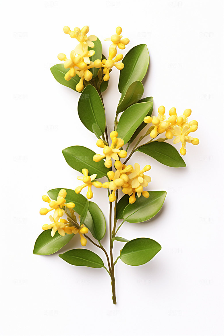 秋季风景写实花卉类矢量元素