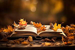 秋天读书林间秋季摄影图