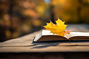 秋天读书秋季树林摄影图