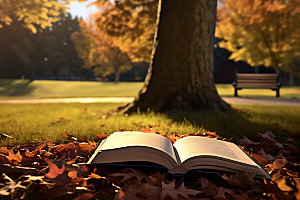 秋天读书树林林间摄影图