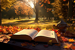 秋天读书林间树林摄影图