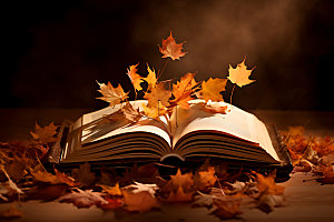秋天读书林间阅读摄影图