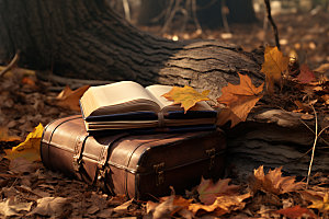 秋天读书阅读高清摄影图