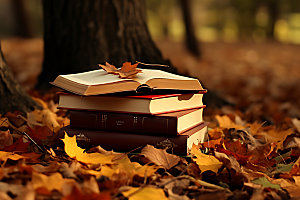 秋天读书树林秋景摄影图
