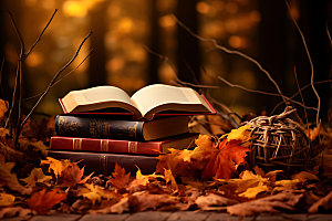 秋天读书秋景树林摄影图