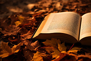 秋天读书树林阅读摄影图