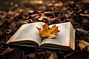 秋天读书秋季秋景摄影图