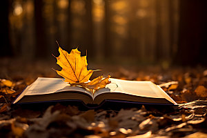 秋天读书秋季高清摄影图