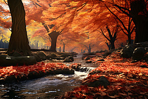 秋季山谷自然摄影图