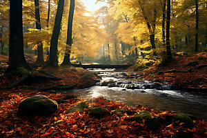 秋季秋叶河谷摄影图