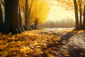 秋季山谷河谷摄影图