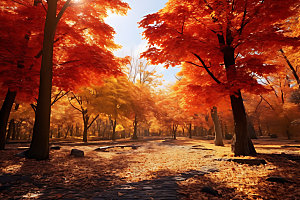 秋季河谷风景摄影图