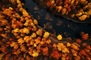 秋季秋天风景摄影图