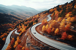 秋季自然森林摄影图