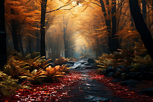 秋季风景自然摄影图