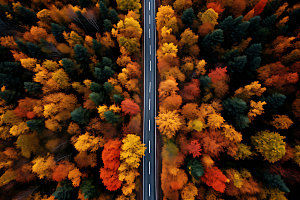 秋季风景高清摄影图