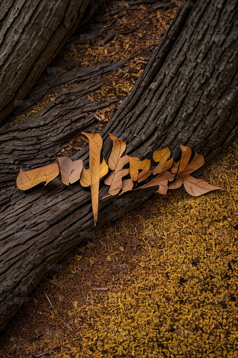 秋季秋天创意艺术字