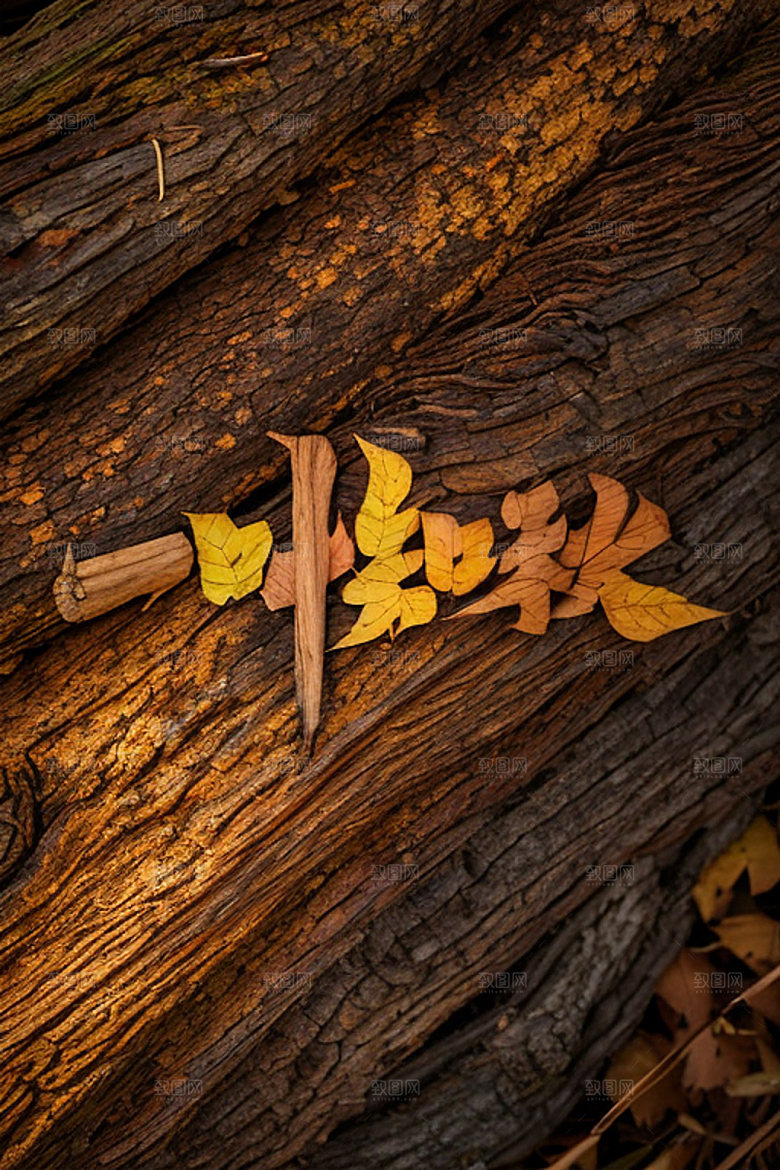 秋季立体创意艺术字