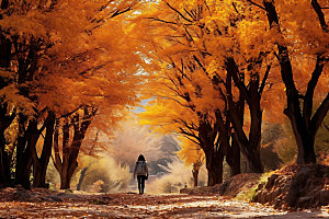 秋天景色暖色调摄影图