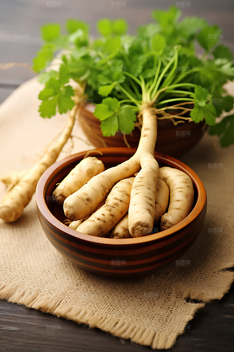 人参植物西洋参摄影图