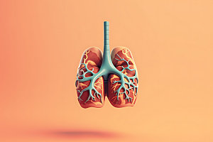 肺部内脏立体医学模型