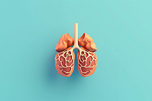 肺部3D内脏医学模型