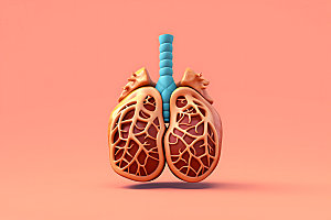 肺部3D内脏医学模型