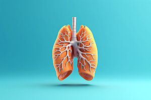 肺部立体人体医学模型