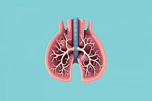 肺部内脏3D医学模型