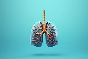 肺部人体肺叶医学模型