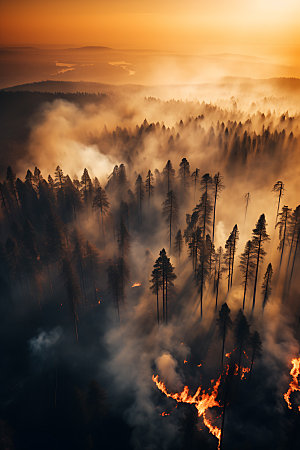 森林大火火灾燃烧摄影图