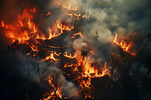 森林大火灾难自然灾害摄影图