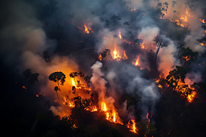 森林大火燃烧高清摄影图