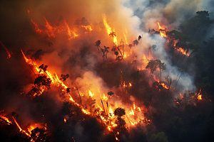 森林大火高清火灾摄影图