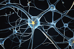 神经元概念显微素材