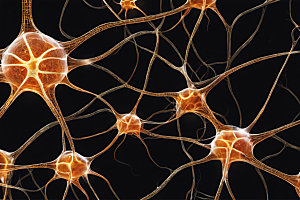 神经元细胞概念素材