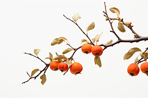 柿子水果霜降摄影图